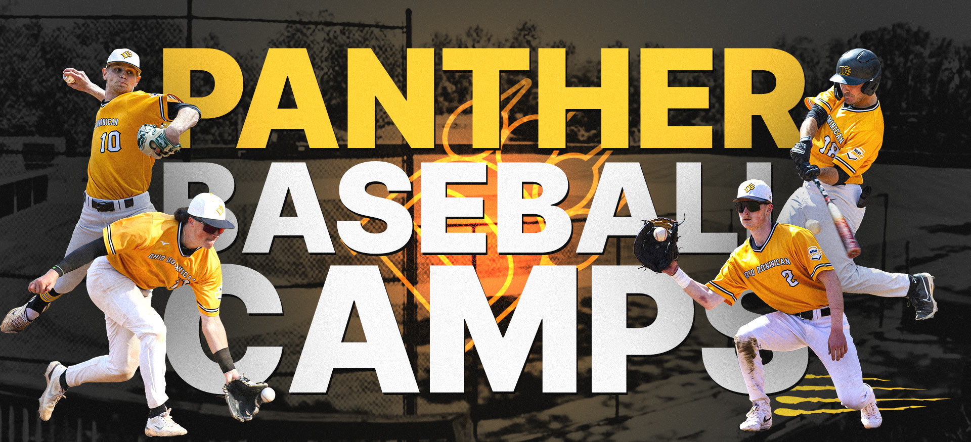 Panther Baseball Camps